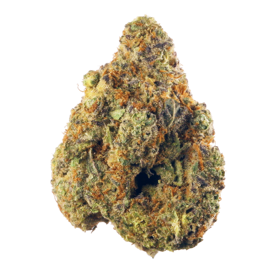 Critical Plus
