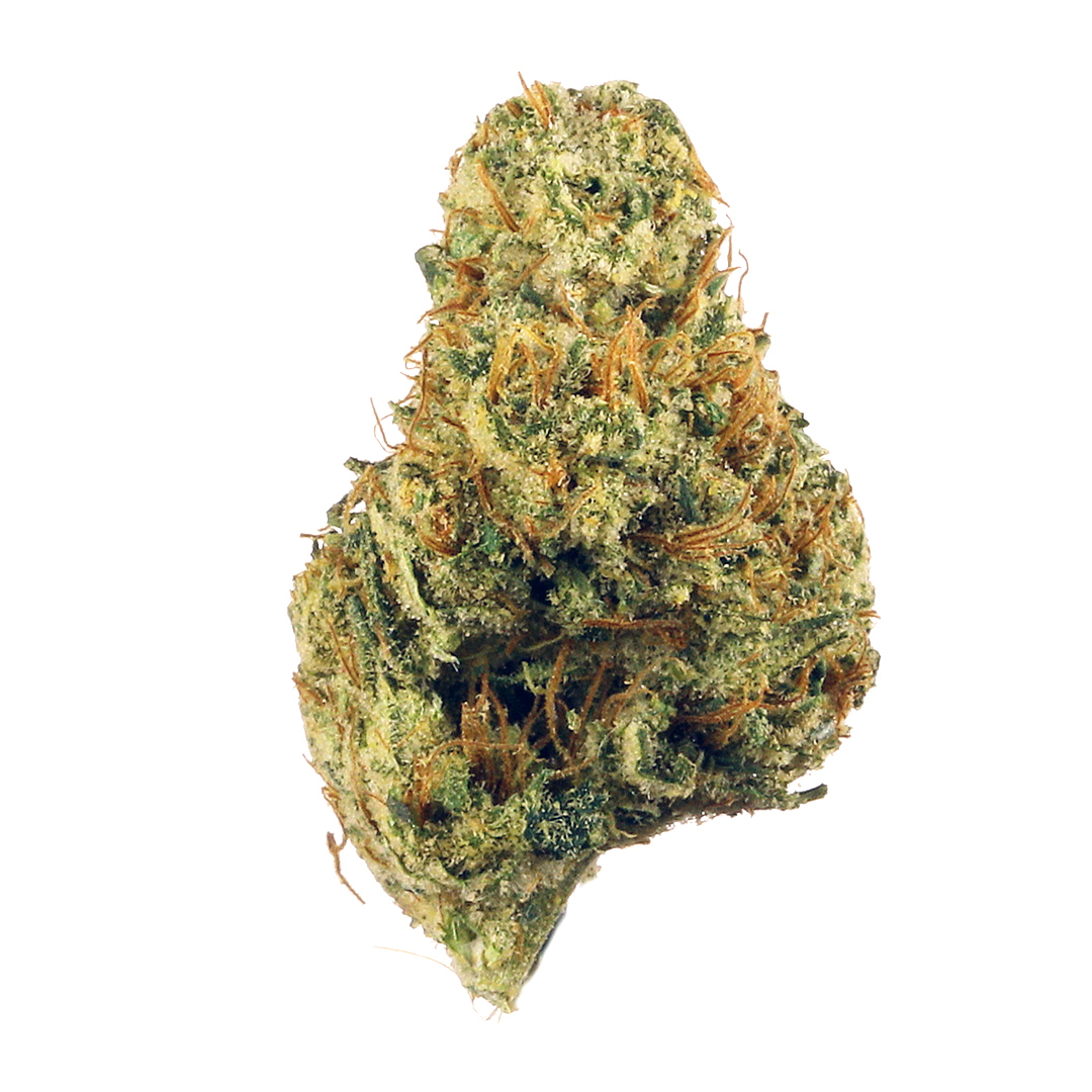 Dutch Treat