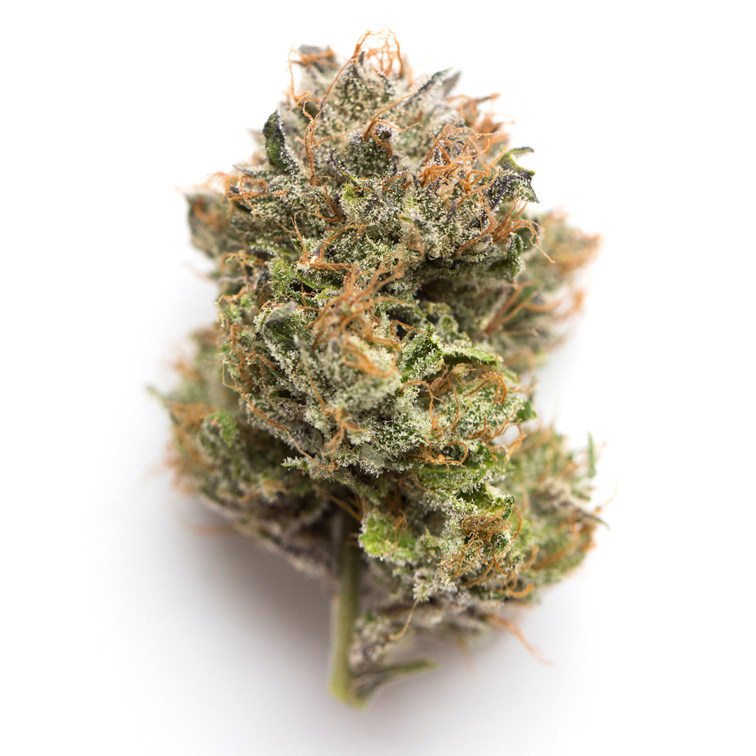 Gelato 33