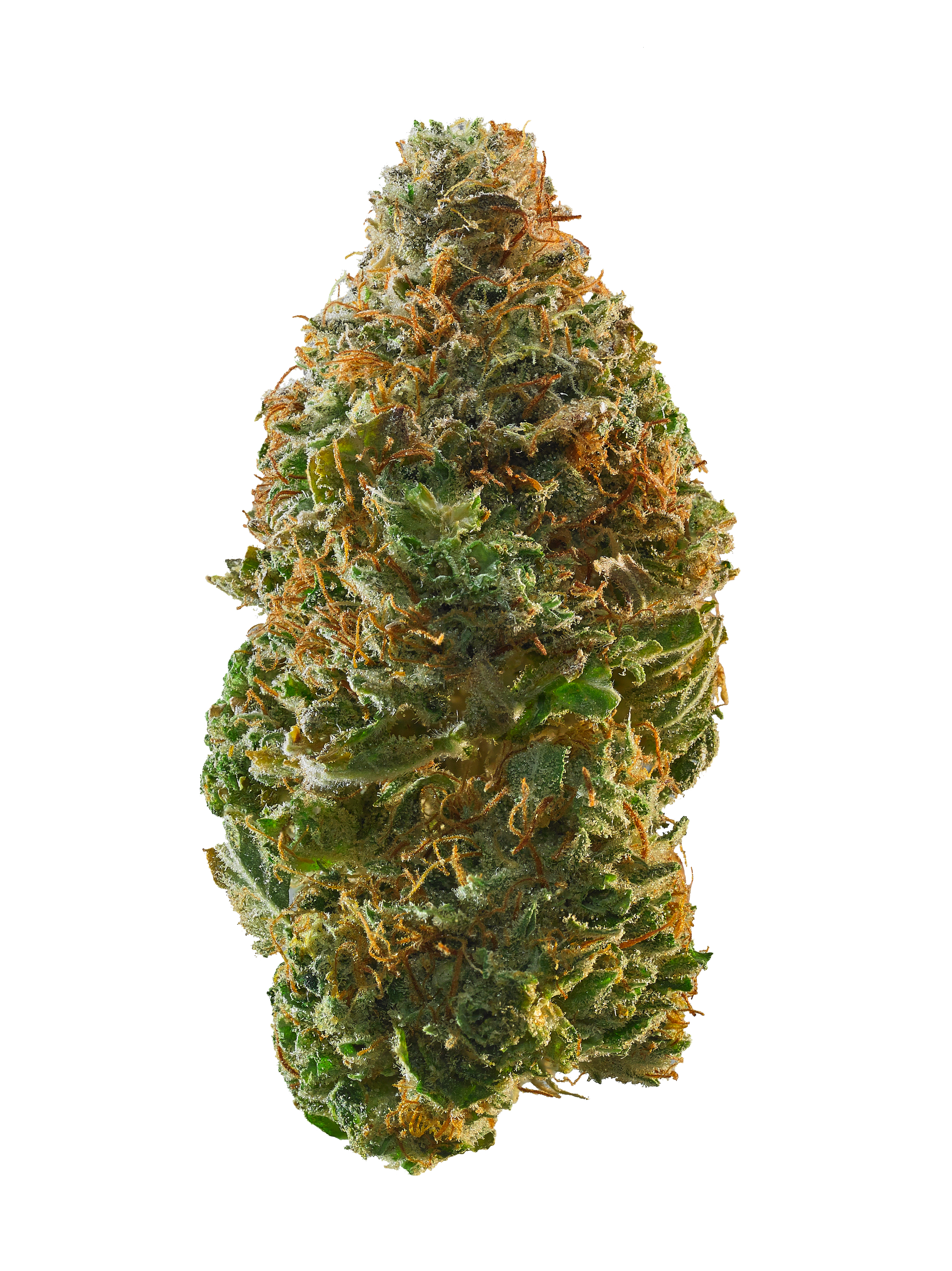 Kosher Kush