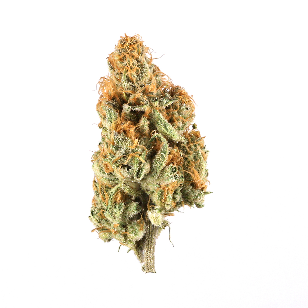 Nevilles Haze