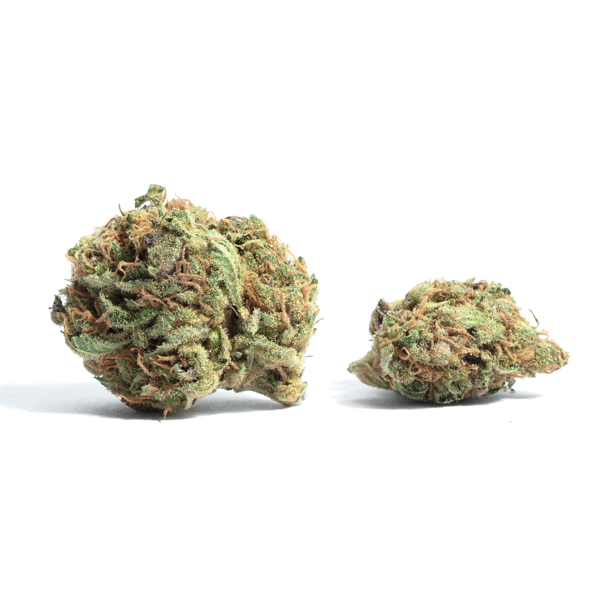 Og Skunk