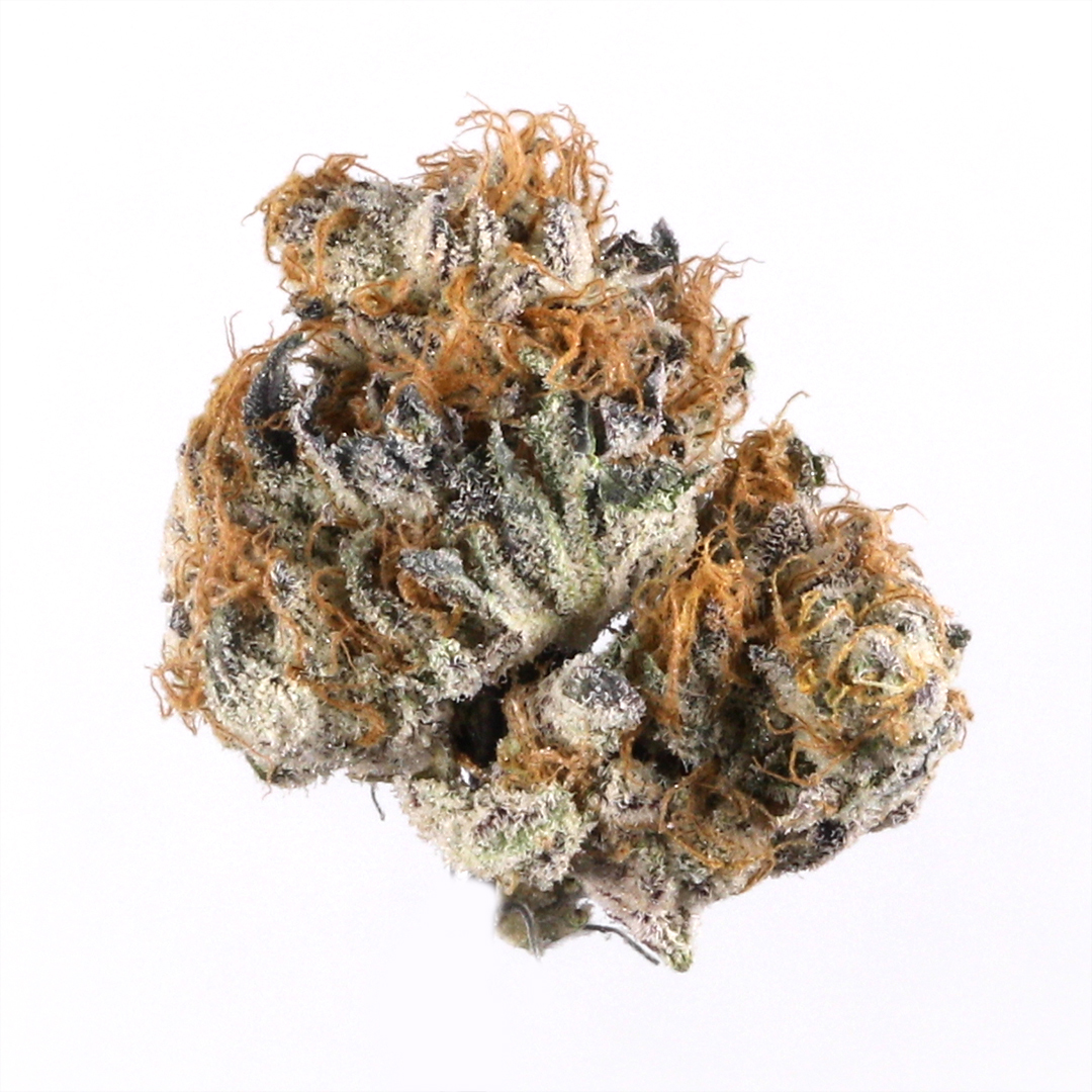 Purple Mango