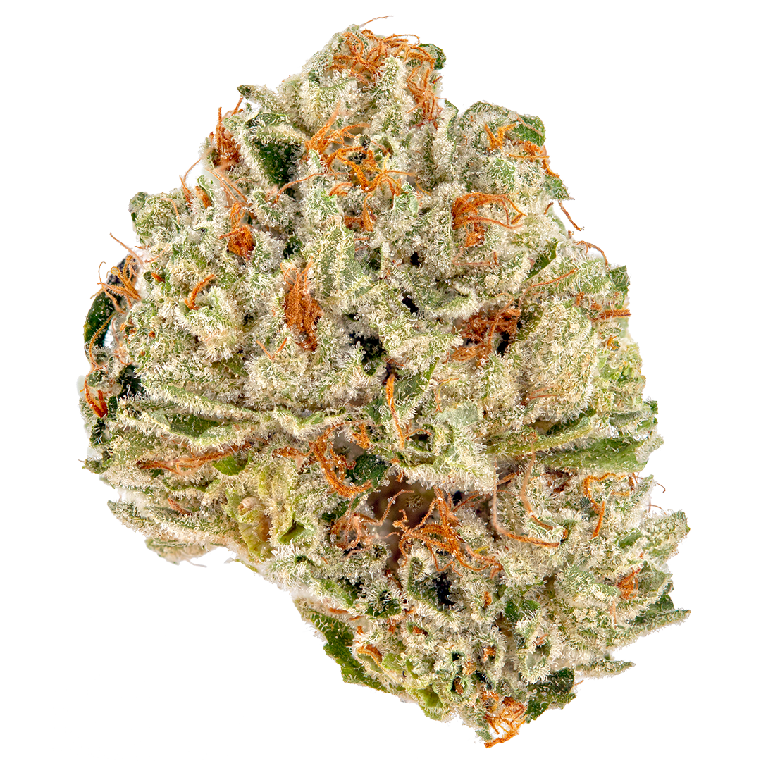 Strawberry Fields