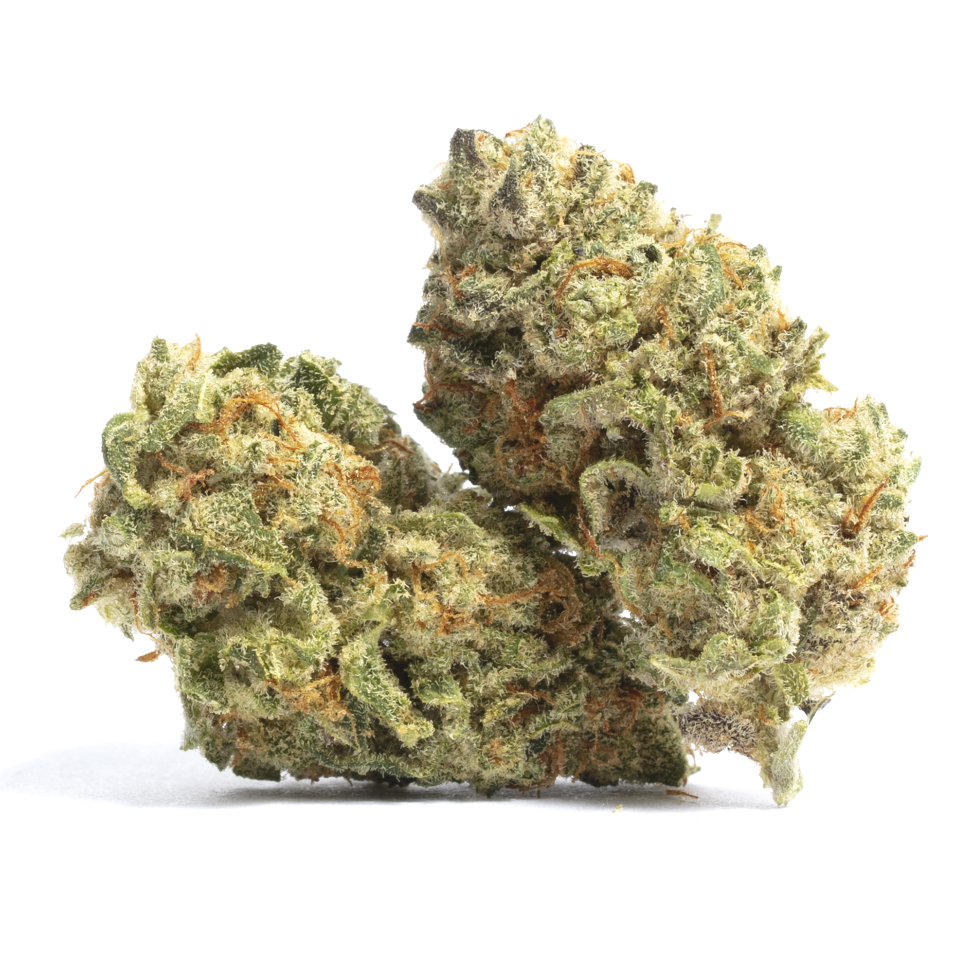 Tangerine Dream